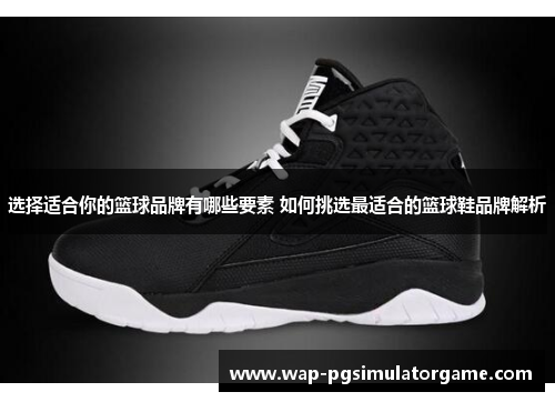 选择适合你的篮球品牌有哪些要素 如何挑选最适合的篮球鞋品牌解析