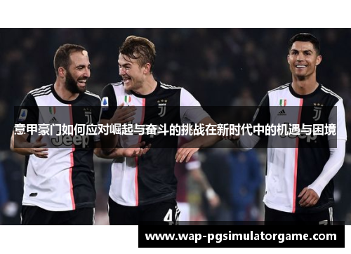 意甲豪门如何应对崛起与奋斗的挑战在新时代中的机遇与困境