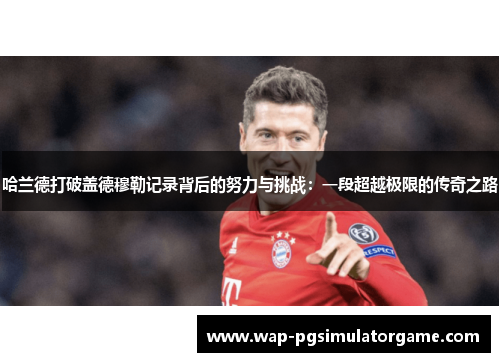 哈兰德打破盖德穆勒记录背后的努力与挑战：一段超越极限的传奇之路