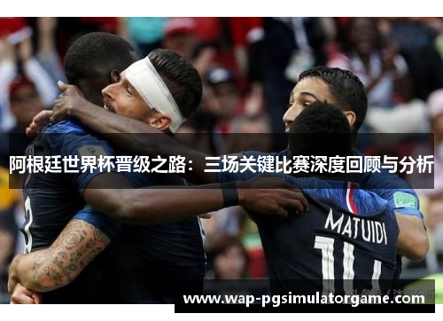 阿根廷世界杯晋级之路:三场关键比赛深度回顾与分析