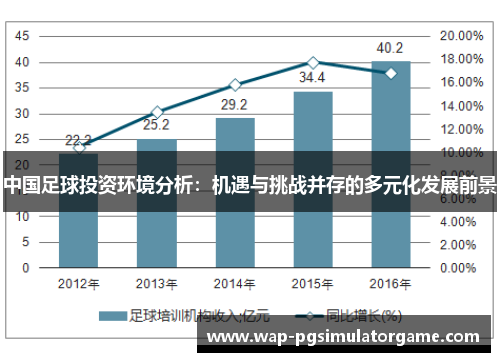 中国足球投资环境分析:机遇与挑战并存的多元化发展前景