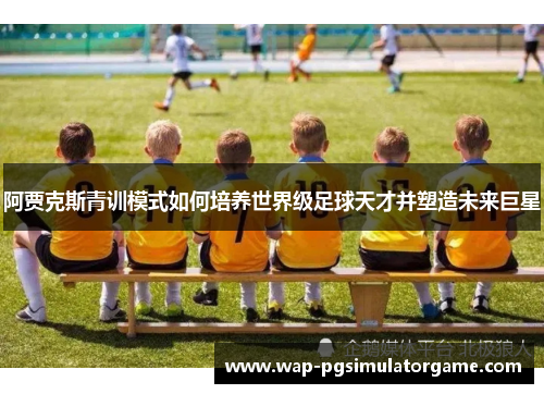 阿贾克斯青训模式如何培养世界级足球天才并塑造未来巨星
