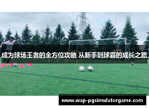 成为球场王者的全方位攻略 从新手到球霸的成长之路
