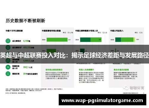 英超与中超联赛投入对比：揭示足球经济差距与发展路径