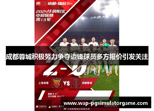 成都蓉城积极努力争夺边锋球员多方报价引发关注
