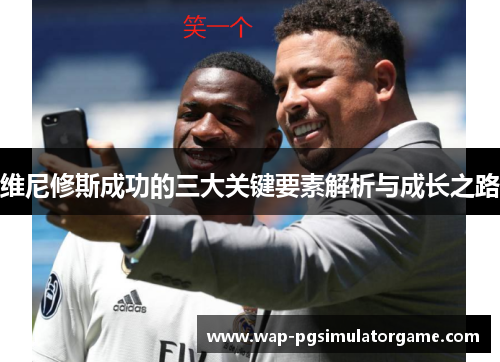 维尼修斯成功的三大关键要素解析与成长之路