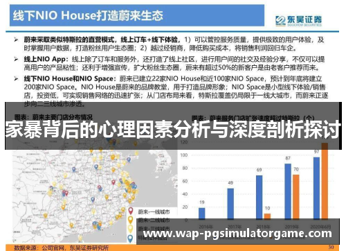 家暴背后的心理因素分析与深度剖析探讨
