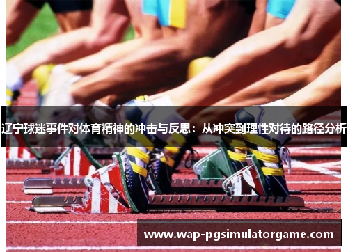 辽宁球迷事件对体育精神的冲击与反思:从冲突到理性对待的路径分析