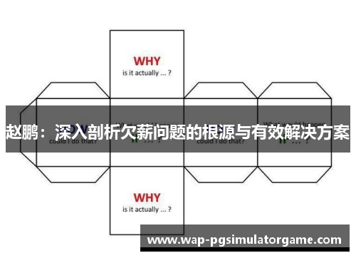 赵鹏:深入剖析欠薪问题的根源与有效解决方案