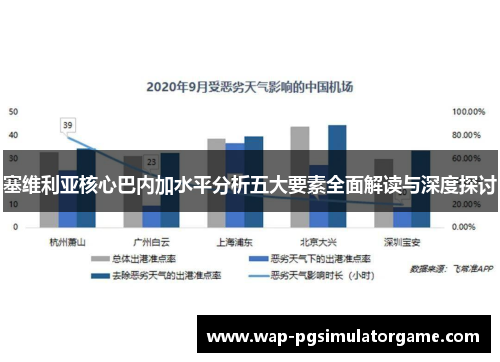 塞维利亚核心巴内加水平分析五大要素全面解读与深度探讨