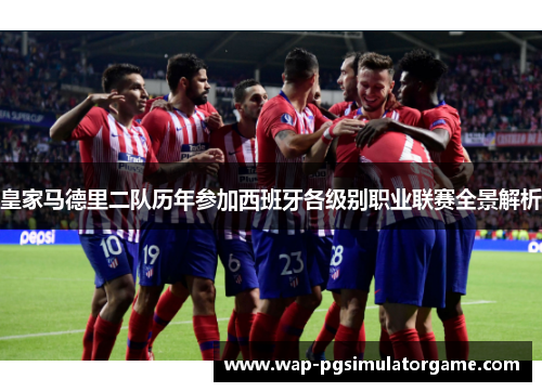 皇家马德里二队历年参加西班牙各级别职业联赛全景解析